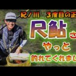#45【出ました！尺！取り込みまで３分】ありがとう紀ノ川　尺鮎　泣きのリベンジ完結編（18分頃～）★　鮎入れ追い