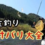 鮎釣り　ハリの特徴とイカリの使い分け方【徹底解説】