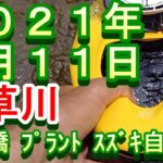 鮎釣り 振草川 小澤剛 友釣り無双 2021年