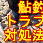 鮎釣り　小澤剛　友釣り無双