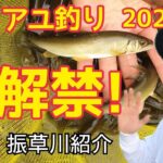 【鮎釣り解禁‼2022】保存版！愛知県振草川紹介！