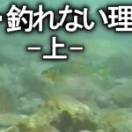 【鮎釣り】鮎・釣れない理由 ‐上‐【友釣り】