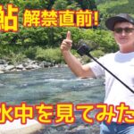 【鮎釣り解禁直前！】付知川の水中を見てみた！