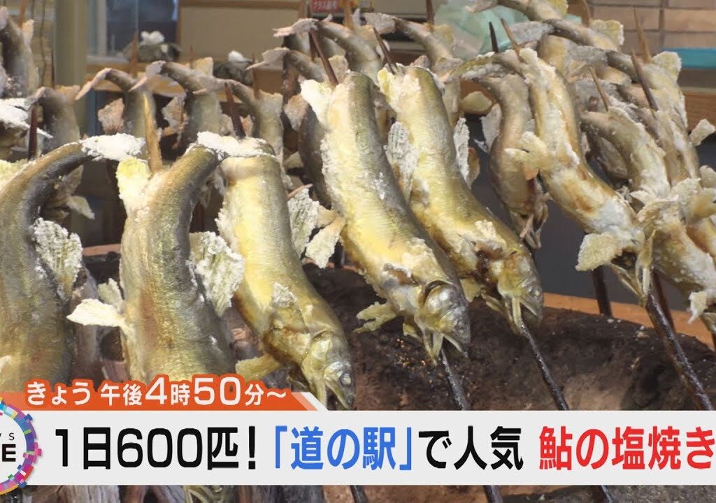 【告知】1日600匹売れる「鮎の塩焼き」のヒミツ。岐阜県郡上市の道の駅の #鮎の塩焼き。人気の秘密に迫ります。