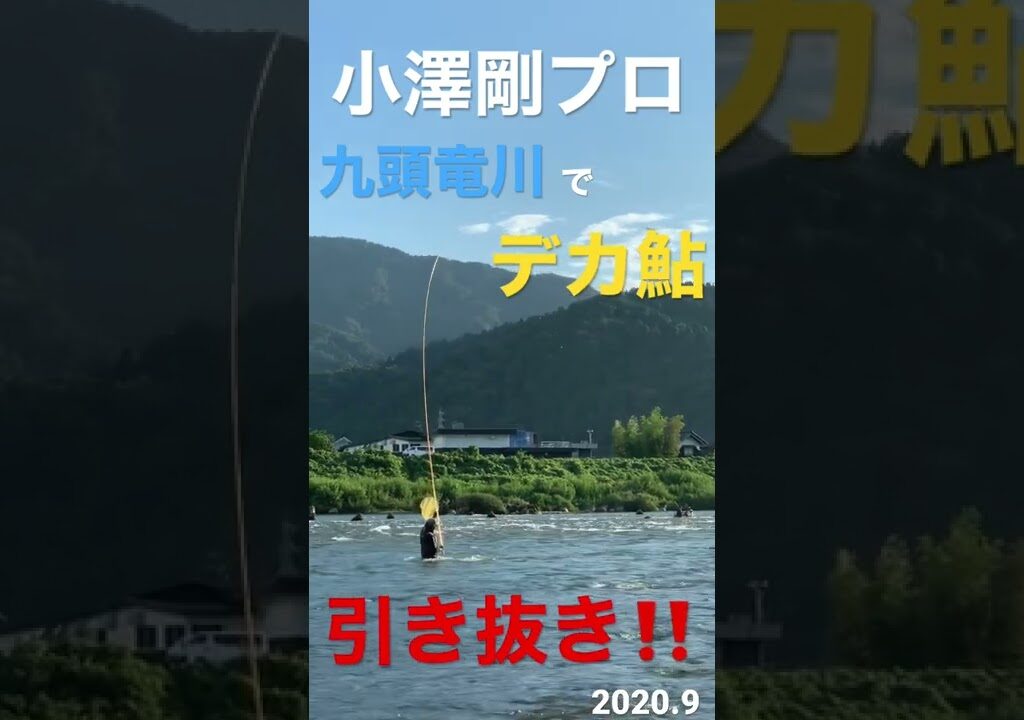 小澤剛プロのデカ鮎引き抜きシーン#shorts #鮎釣り
