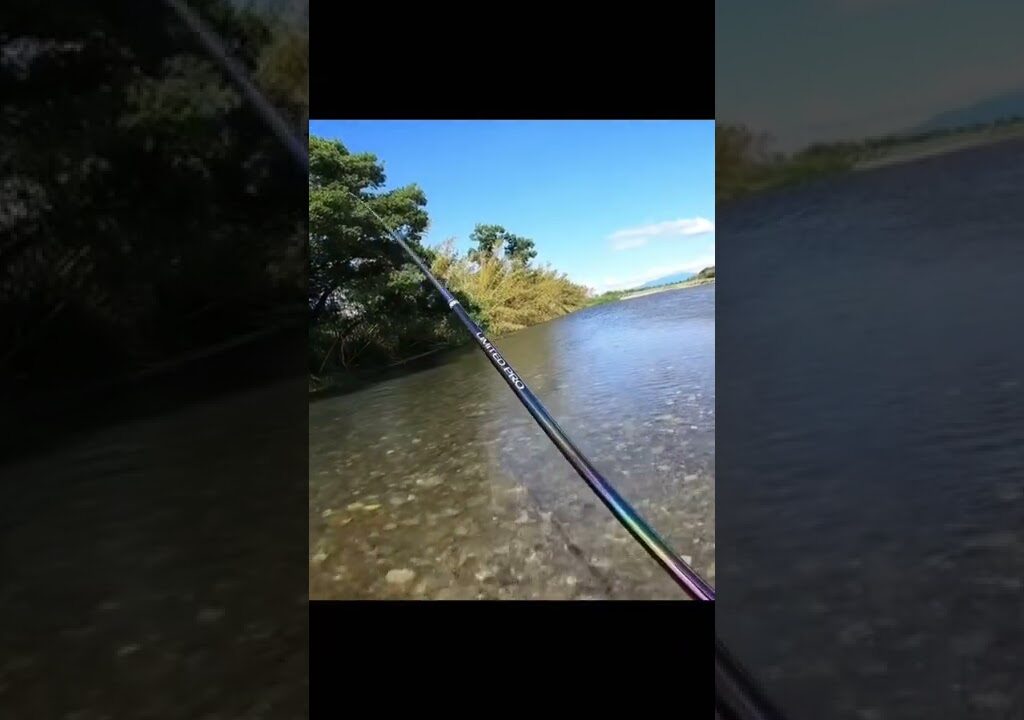 【鮎釣り】目印が吹き飛ぶ！アタリの瞬間