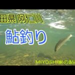 [鮎釣り]7/17秋田県、阿仁川遠征してきました～⤴️今日も鮎釣りしま～す🎵