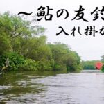 【鮎釣り解禁】夏の清流で天然鮎と戯れる