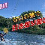 2022 鮎釣り 九頭竜川 谷口の瀬で鮎に引き摺り回される