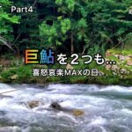 【鮎釣り】白川（岐阜県）｜2022.8.26｜⚠️怪我シーン有り（モザイク処理済）｜大鮎を求めてPart4【友釣り】