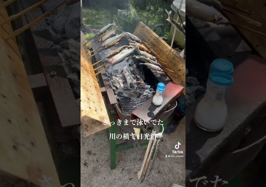 鮎の塩焼き最高！#fishing #鮎釣り #鮎の塩焼き #fishinglife #釣り
