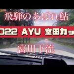 飛騨あばれ鮎　宮川下流　鮎釣り　室田カップ　室田名人