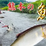 鮎の仕掛けや釣り方を実釣解説。熊本の鮎釣りは楽しい！