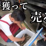 獲った鮎を居酒屋に買取ってもらう