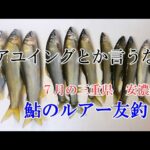 鮎のルアー友釣り（三重県安濃川）
