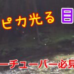 【鮎釣り】ピカピカ光る目印をつけてみたら凄かった！