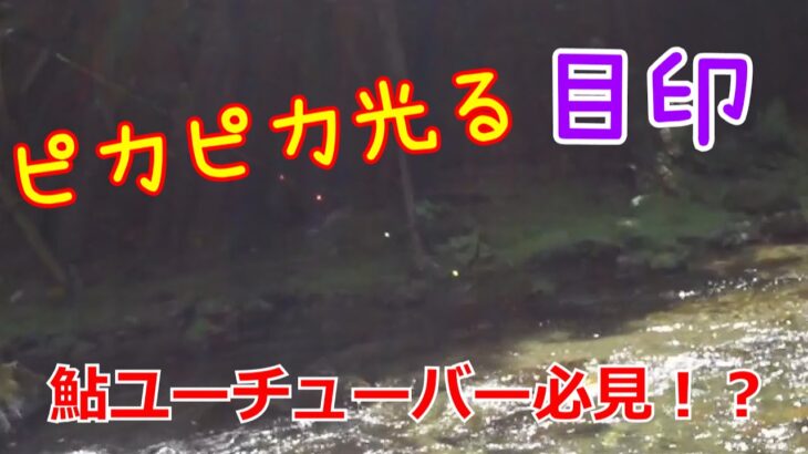 【鮎釣り】ピカピカ光る目印をつけてみたら凄かった！