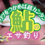 コツをつかめば超カンタン 鮎のエサ釣り