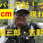 2022/9/17【スーパー尺鮎！】四国三郎・吉野川　釣れたらいいね！なんちゃんチャンネル