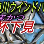 長良川　ウインドパーク前　がまかつの竿を使ってみた