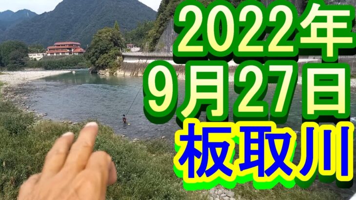 鮎釣り 10cm高残り垢 穴洞橋下 蕨生大橋下 長良川支流板取川 2022年