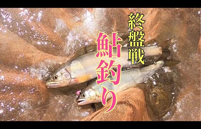 【鮎釣り】いよいよ終盤