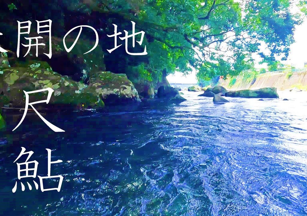 【尺鮎の刺し網＆しゃくり】釣り人がまったくいないスポットで大物を狙う