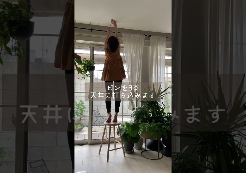 植物を天井から吊るすのに使っているもの