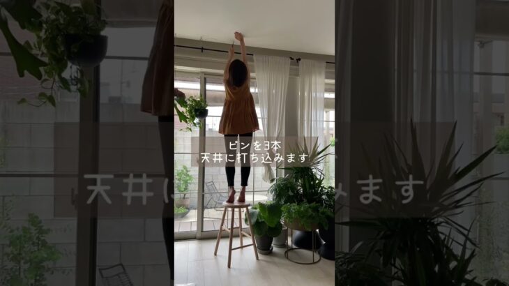 植物を天井から吊るすのに使っているもの