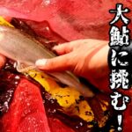 2022鬼怒川鮎釣り　大鮎に挑む