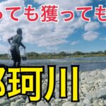 【渓流釣り  那珂川】鮎の大群、落ち鮎漁、まさか、こんなにスゴイとは、 伝統の魚せき漁　River Healing Channel （リバヒ）