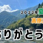 【鮎釣り】9月中旬にこんなに釣れる川は滅多に無い！『高原川』で感動の入れ掛かりに涙！？