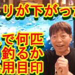 鮎釣り A-13 2022年12月13日 質問はこちらから https://youtu.be/xx2w3Jh5m4s
