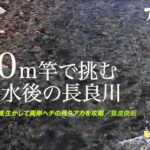 10m竿で挑む増水後の長良川［鮎釣りテクニック］