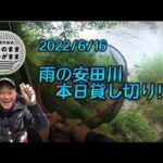 【鮎釣り】2022/6/16 高知県安田川。雨降りは釣れん！