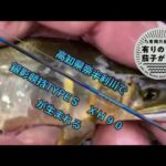 【鮎釣り】2022/6/27。今年初の奈半利川で銀影競技TYPEＳＸＨ90が生まれる
