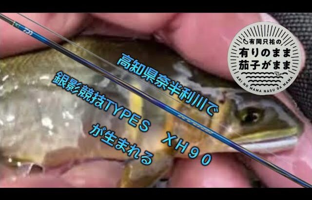 【鮎釣り】2022/6/27。今年初の奈半利川で銀影競技TYPEＳＸＨ90が生まれる