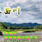 【三面川の鮎釣り】平蔵のチャラ瀬釣り！数を釣るヒントとは！？「三面・良い面・悪い面②」（平蔵の鮎釣り2023）2022未公開動画ストック分公開！