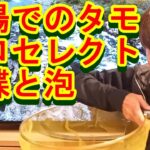 鮎釣り A-47 2023年1月16日 質問はこちらから https://youtu.be/xx2w3Jh5m4s