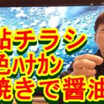 鮎釣り A-61 2023年1月30日 質問はこちらから https://youtu.be/xx2w3Jh5m4s