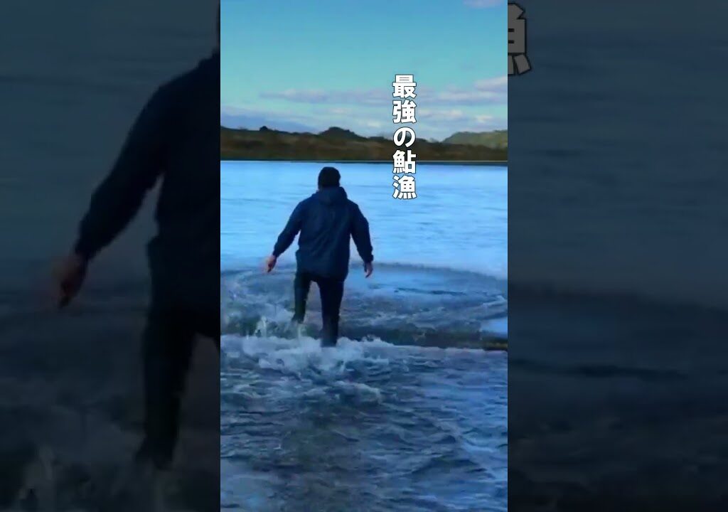 【渓流釣り  鮎漁】圧倒的 群れた鮎を手に入れる 伝統漁 　#short  #鮎釣り #fishing #アユ #伝統漁River Healing Channel （リバヒ）