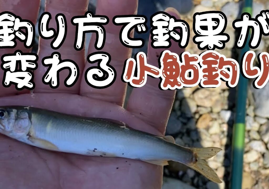 小鮎釣り／ 犬上川