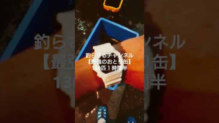 130匹の鮎でも元気でした【最強おとり缶】