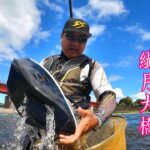 2022 鮎釣り 球磨川 繊月大橋