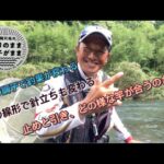 【鮎釣り】2022/7/22。バレやケラレに悩み竿変え針を変え。。。。