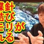 鮎釣り A-68 2023年2月6日 質問はこちらから https://youtu.be/xx2w3Jh5m4s