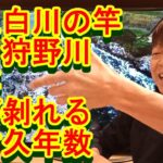 鮎釣り A-69 2023年2月7日 質問はこちらから https://youtu.be/xx2w3Jh5m4s