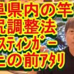 鮎釣り A-77 2023年2月15日 質問はこちらから https://youtu.be/xx2w3Jh5m4s