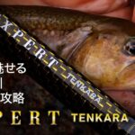 【渓流解禁間近！】名手が魅せる石徹白川テンカラ攻略【EXPERT TENKARA】
