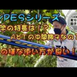 【鮎釣り】TYPEＳシリーズ意識して使えば無敵竿！